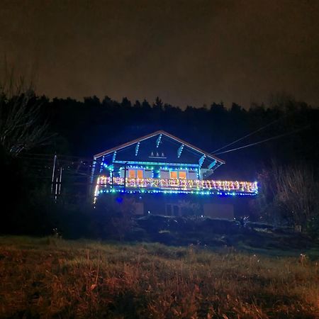 Le Chalet Des Amis Apartamento Aurec-Sur-Loire Exterior foto